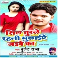 Sil Turle Rahani Bhulaiye Jaibe Ka (Bullet Raja) Mp3 Song