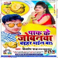 Pak Ke Jobanawa Badahar Bhail Ba (Kishor Raj) Mp3 Song