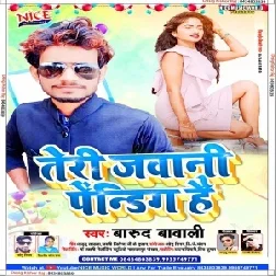 Teri Jawani Pending Hai (Barud Bawali) 2020 Mp3 Songs