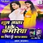 Jhul Jata Dhake Kamariya (Nisha Dubey) Mp3 Song