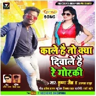 Kale Hai To Kya Dilwale Hai Re Gorki (Krishna Zaik) Mp3 Song