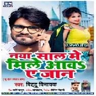 Naya Saal Me Mile Aawa Ae Jaan (Bittu Vinayak) 2020 Mp3 Song