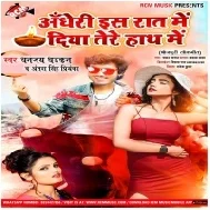 Andheri Es Raat Me Diya Tere Hath Me (Dhananjay Dhadkan) Mp3 Song