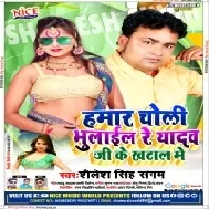 Hamar Choli Bhulail Re Yadav Ji Ke Khatal Me Mp3 Song
