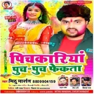 Dehiya Deh Jab Thekata Pichkariya Puch Puch Fekata Mp3 Song