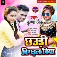 Chhaudi Bigadal Biya Mp3 Song