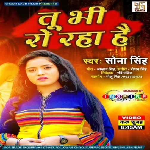 Tu Bhi Ro Raha Hai (Sona Singh) 2021 Mp3 Song