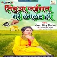 Nimbua Jaise Gare Lagla Ho Mp3 Song