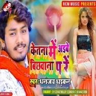 Dhara Hath Jawan Kare Tawana Ke Re Kitna Me Aibe Bichanawan Pe Re Mp3 Song