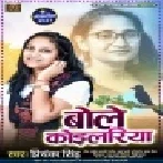 Piya Chaite Me Karake Tu Gawanwa Sajanwa Chhodla Kahe Bhawanwa Ho Mp3 Song