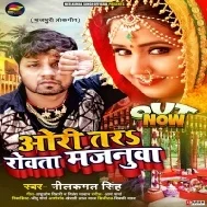 Ori Tara Rowata Majanua ( Neelkamal Singh ) Dj Song