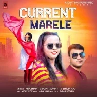 Laiki Hi E Voltage Wali Current Marele Mp3 Song