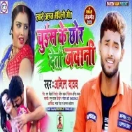 Jawani Chustau Chhaura Mp3 Song