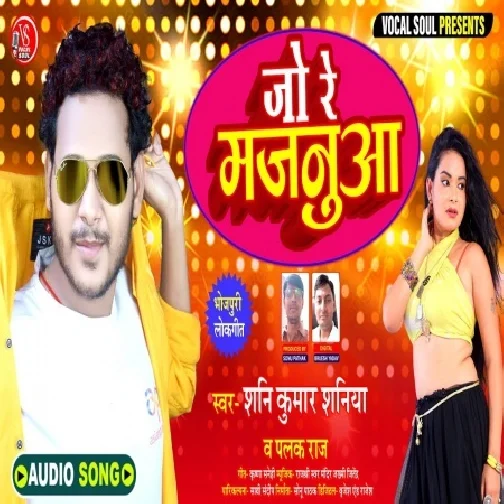 Jo Re Majanuaa (Shani Kumar Shaniya, Palak Raj) 2021 Mp3 Song