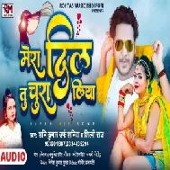 Mera Dil Tu Chura Liya (Shani Kumar Shaniya, Shilpi Raj) 2021 Mp3 Song