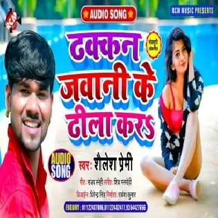 Dhakkan Jawani Ke Dhila Kara  Mp3 Song