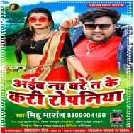 Chinta Fikir Chhod Ke Katatara Chaniya Aiba Na Ghare Ta Ke Kari Ropaniya Mp3 Song