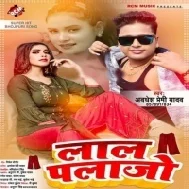 Delhi Se Lele Aiha Lalka Ago Plazo Jija Ji Mp3 Song