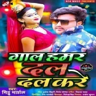 Hai Dunu Hamar Gal Sakhi Dal Dal Kare Mp3 Song