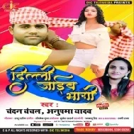Jahiya Tohara Haradi Lagi Jaib Hum Dilli Bhagi Mp3 Song