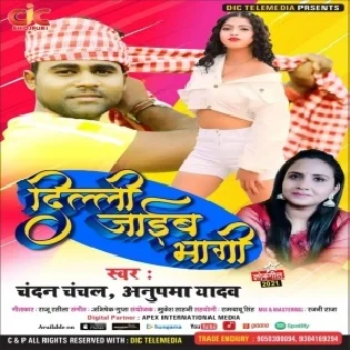 Jahiya Tohara Haradi Lagi Jaib Hum Dilli Bhagi Mp3 Song