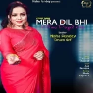 Mera Dil Bhi Kitna Pagal Hai Mp3 Song