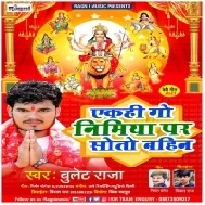 Akahi Go Nimiya Pa Saato Bahin Jhule La Log Jhuluwa Nav Din Mp3 Song