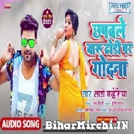 Chhapawale Baru Dhori Par Godana (Lado Madheshiya) 2021 Mp3 Song