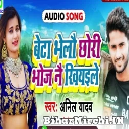 Beta Bhelau  Chhauri Boj Nai Khiyaile (Anil Yadav) Mp3 Song