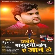 Jabse Sasurwa Gailu Ae Jaanu Haal Na Puchhelu Kabahu Ho Mp3 Song