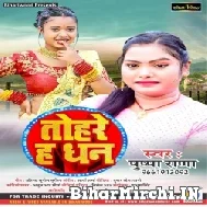 Tohare Ha Dhan (Pushpa Rana) 2022 Mp3 Song