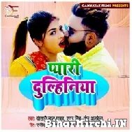 Pyar Dulhaniya (Monu Albela, Antra Singh Priyanka) Album Mp3 Songs