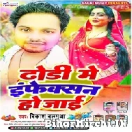 Dhodhi Me Infection Ho Jaai (Vikash Balamua) Holi Mp3 Song
