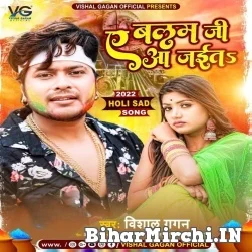 Ae Balam Ji Aa Jaita (Vishal Gagan) Full Mp3 Song