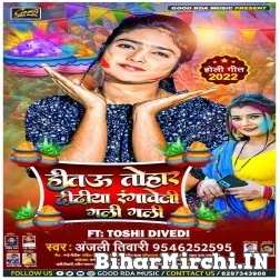 Hitau Tohar Didiya Rangwaweli Gali Gali (Anjali Tiwari) 2022 Mp3 Song