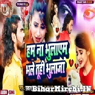 Ham Na Bhulayem Bhale Tuhi Bhulaja (Prakash Raj) 2022 Mp3 Song