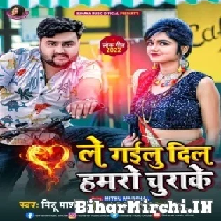 Le Gailu Dil Rani Hamaro Churake