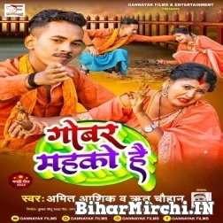 Gobar Mahako Hai (Amit Aashiq, Ritu Chauhan) 2022 Mp3 Song