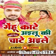 Gehu Kate Ailu Ki Chate Aile (Albela Ashok) 2022 Mp3 Song