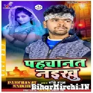 Pahchanat Naikhu (Ravi Raj) 2022 Mp3 Song