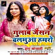 Gulab Jaisan Balamua Hamaro (Indu Sonali) 2022 Mp3 Song