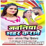 Jawaniya Marder Karawe (Antra Singh Priyanka) 2022 Mp3 Song