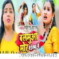 Balamua Mor Chaitwa Me (Kavita Yadav) 2022 Mp3 Song