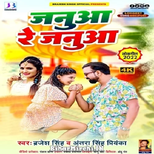 Janua Re Janua (Brajesh Singh, Antra Singh Priyanka) 2022 Mp3 Song