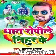 Dhan Ropile Nihur Ke (Albela Ashok) 2022 Mp3 Song