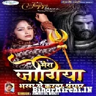 Mera Jogiya Bhasm Se Karta Shringar Hai (Amrita Dixit)