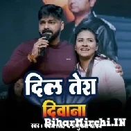 Dil Tera Diwana (Pawan Singh, Anupma Yadav) 2022 Mp3 Song