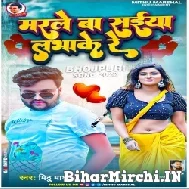 Marle Ba Saiyan Labhake Re (Mithu Marshal) 2022 Mp3 Song