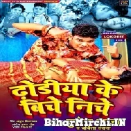 Dhoriya Ke Biche Niche (Bullet Raja)