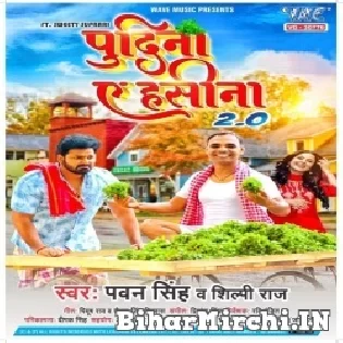 Pudina A Hasina 2 (Pawan Singh,Shilpi Raj) Bhojpuri New Song Dj Vivek Pandey